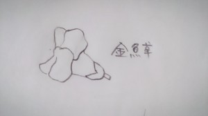 11850615_872244202853647_5812304370875059100_o