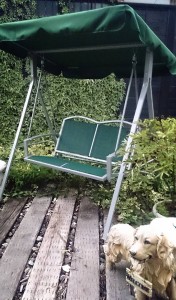 11920439_865623883515679_1899497085_n