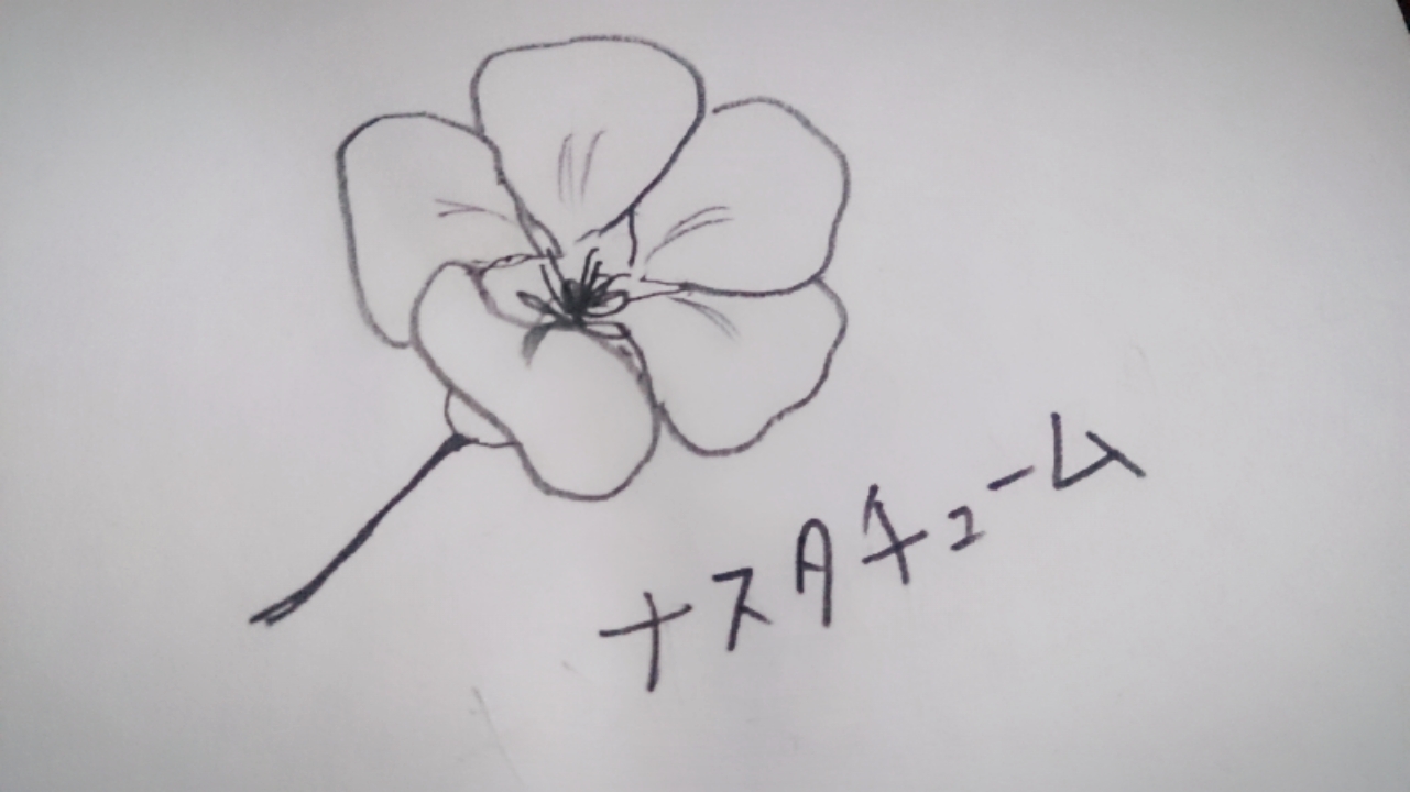 絵心のなさにがっかり