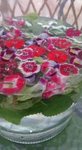 11953208_1481874785472115_2369551963856615253_n