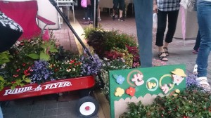 11988356_871617459582988_8256747639310025025_n