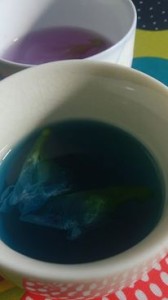 11998187_871375489607185_1873738996_n