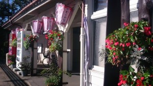 11999552_874621262615941_546260028044401239_o