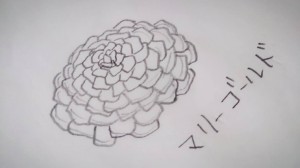 11999591_872244099520324_7095210772255174870_o