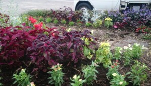 11999694_1489508998042027_3004619884487815151_o