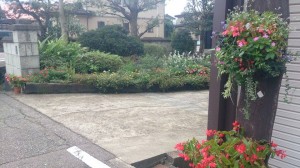 11999857_870407459703988_1082690189_n