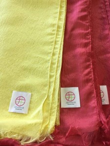 12006207_877030229041711_8370815648598846755_n