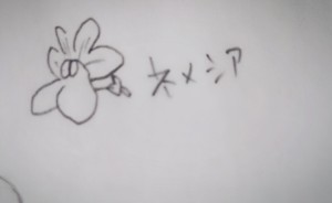 12017550_872244416186959_397510055552284559_o