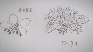 12017736_872244289520305_8323044117019695986_o