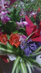 12025347_874711012606966_1890376845_n