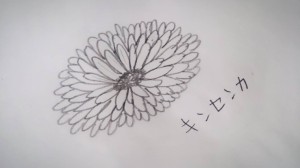 12027195_872244312853636_8874958097830479589_o