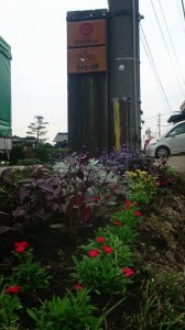 12038344_1489509031375357_8901312406164569758_n