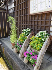 12038472_879002468844487_5778220882680751357_n