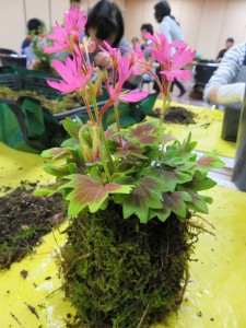 12039282_1494792830846977_7137663662955054546_n