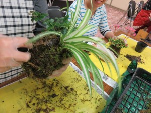 12039450_1494792820846978_1217704422702438350_n