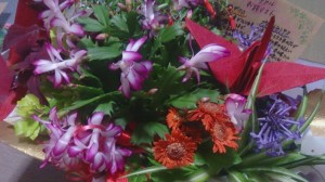 12041163_874711102606957_38238056_o