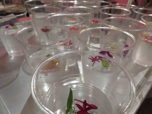 12042821_877686395642761_379088738413139397_n