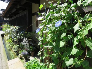 12046662_879002488844485_6327368563890811623_n