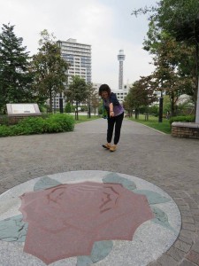 12047379_878262598918474_879531242_n