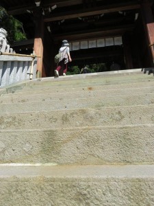 12048929_879070242171043_1455104403_n