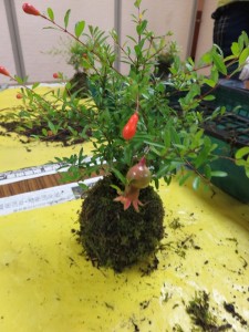 12049247_1494792804180313_3914672715331184070_n