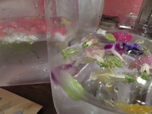 12049260_877686362309431_8994689951928940020_n