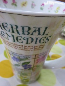 12064447_878465515564849_1459107570_n