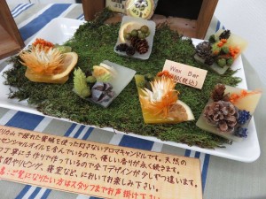 12067894_878262538918480_660075463_n