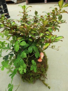 12071382_879066952171372_1996228244_n