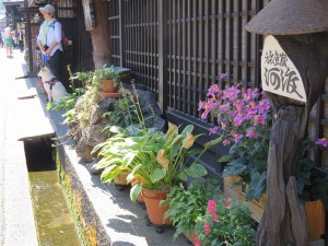 12079118_879002375511163_352654932242407726_n