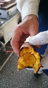 11219345_889227171155350_5790808572077640281_n