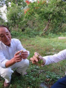 11220798_879679832110084_5867403931234186587_n