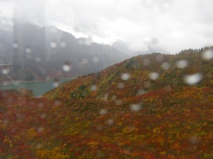 11224128_884684258276308_7954585177865030319_o