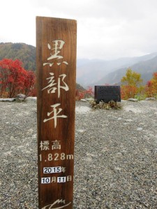 11224415_884684448276289_9009501426961144773_n