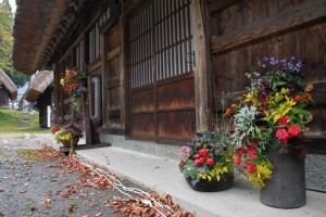 11226081_1509578059368454_2493497779607823023_o