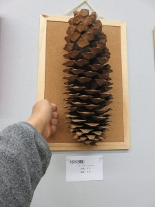 11249165_885921471485920_940487748735827467_n