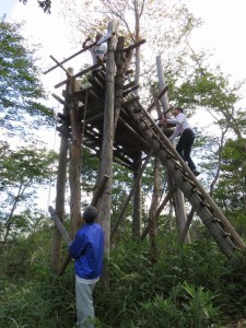 12020009_879679692110098_7686864766486165211_n