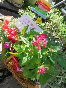 12036395_1496861847306742_562199732783479659_n