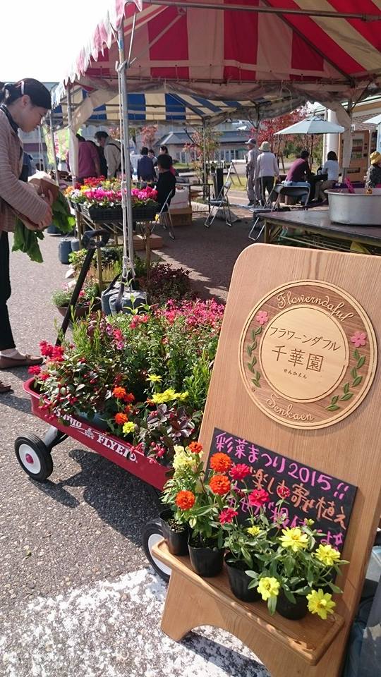 彩菜まつり2015