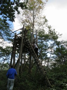 12039293_879679678776766_4295208632724636218_n