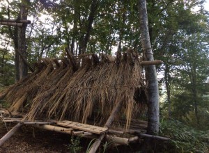 12043143_879679665443434_673161477252599373_n