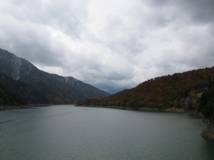 12052372_884684738276260_8845651085414582468_o