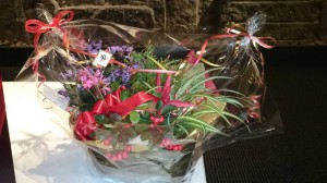 12059343_878421612235906_978095891_o