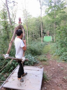 12063765_879679718776762_3538868137838881919_n