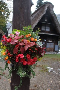 12063880_1509577966035130_1764438645926899627_n