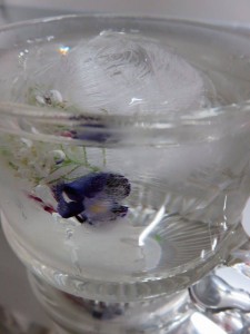 12068029_882078261870241_951515720_n