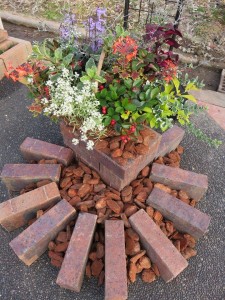 12071354_883542765057124_1210303175_n