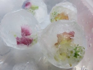 12071860_882078175203583_1352282626_n