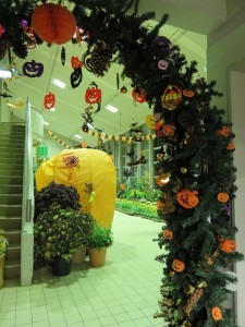 12075096_885921601485907_4431246146903288277_n