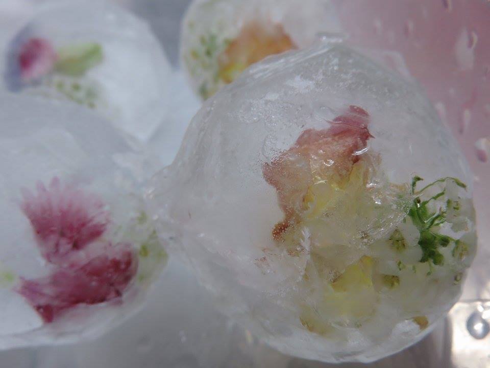 美食花アイスキューブ
